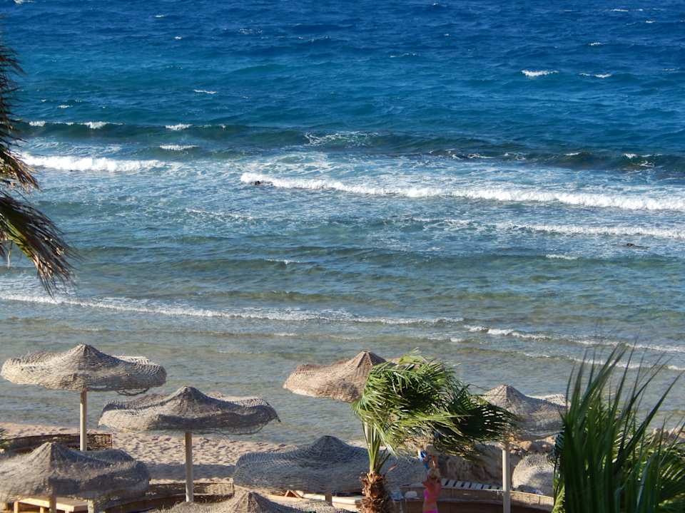 Strand Pickalbatros Citadel Resort