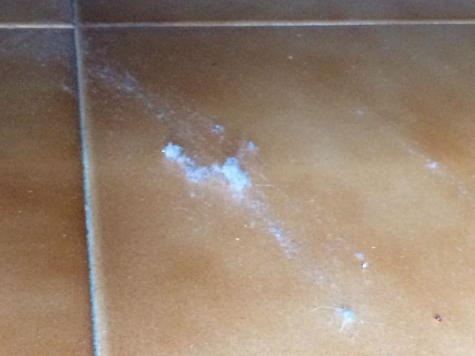 Zimmer BLUESEA Costa Jardin Spa