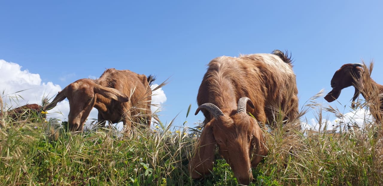 Sonstiges Hotel Natura Beach