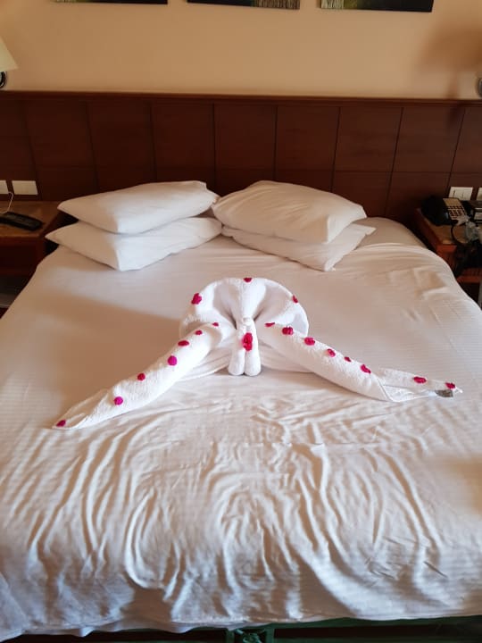 Zimmer Charmillion Club Aqua Park