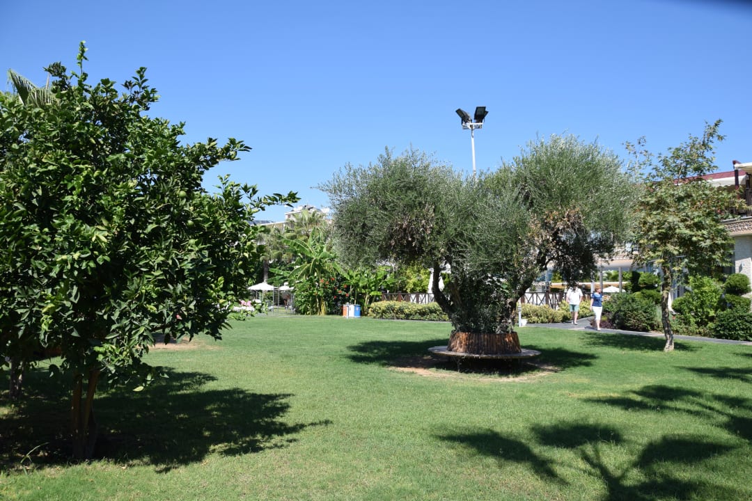Gartenanlage Sun Club Hotel
