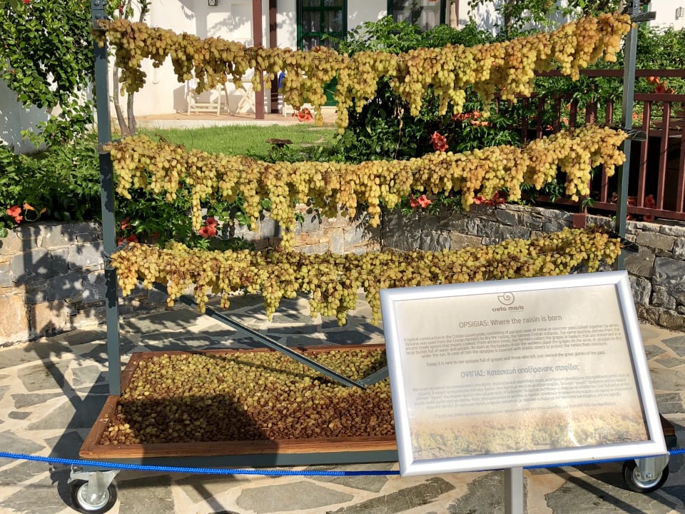 Gartenanlage Creta Maris Resort