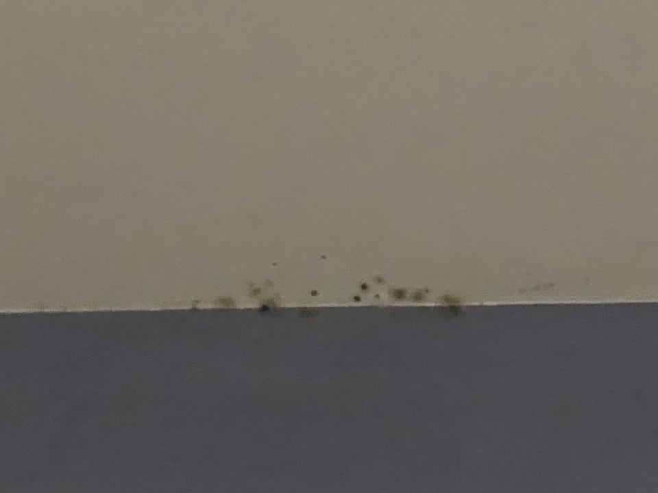 Zimmer TUI BLUE Tropea