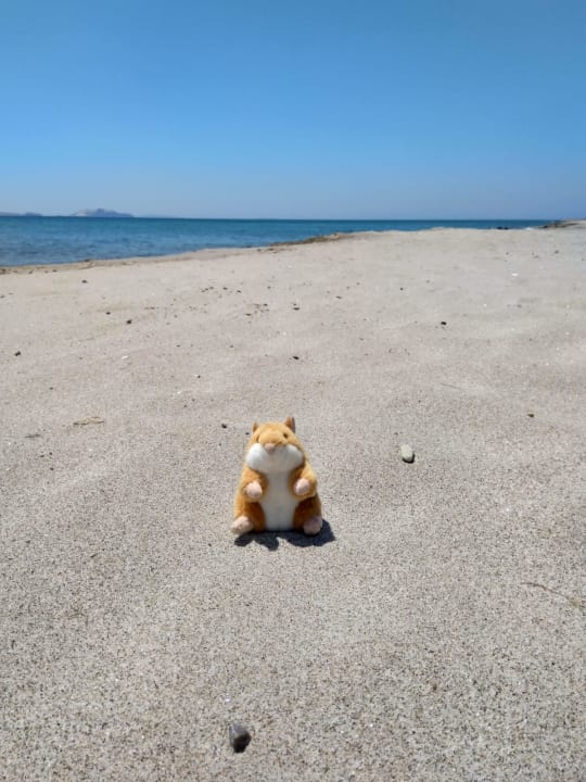 Strand Lagas Aegean Village