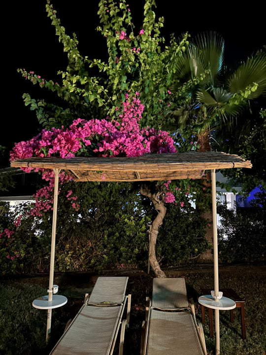 Sonstiges Crystal Springs Beach Hotel