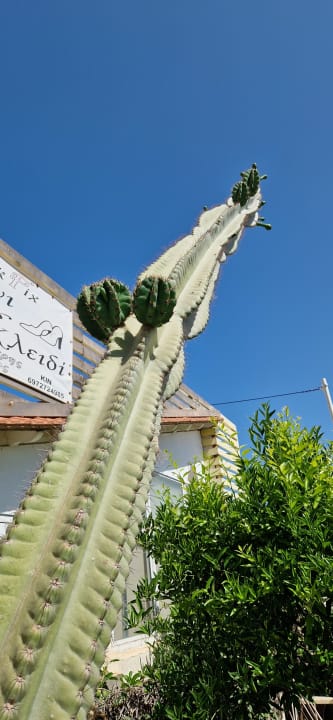 Sonstiges Hotel Sunset Beach