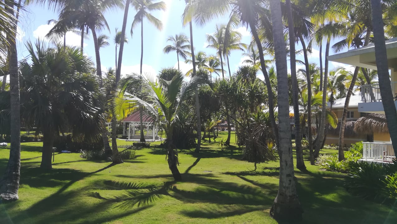 Gartenanlage Grand Palladium Select Bávaro Resort & Spa