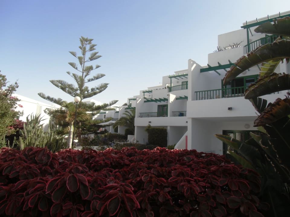 Zahrada El Guarapo apartamentos