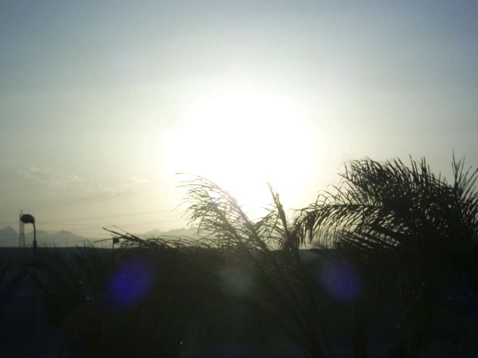 Sonnenuntergang Pickalbatros Palace Resort