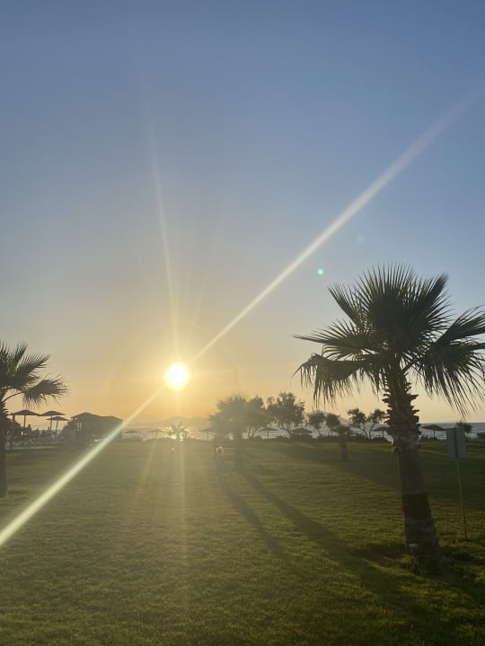 Gartenanlage Astir Odysseus Kos Resort & Spa