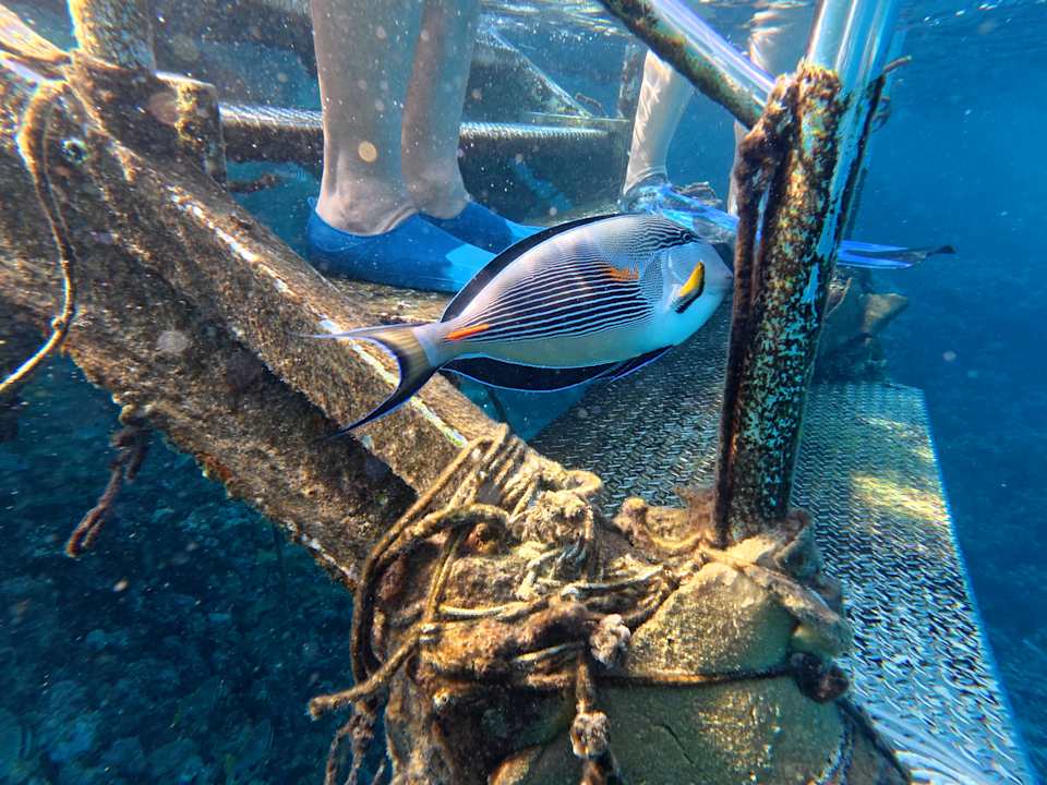 Sport & Freizeit Grand Waterworld Makadi & Family Star Makadi