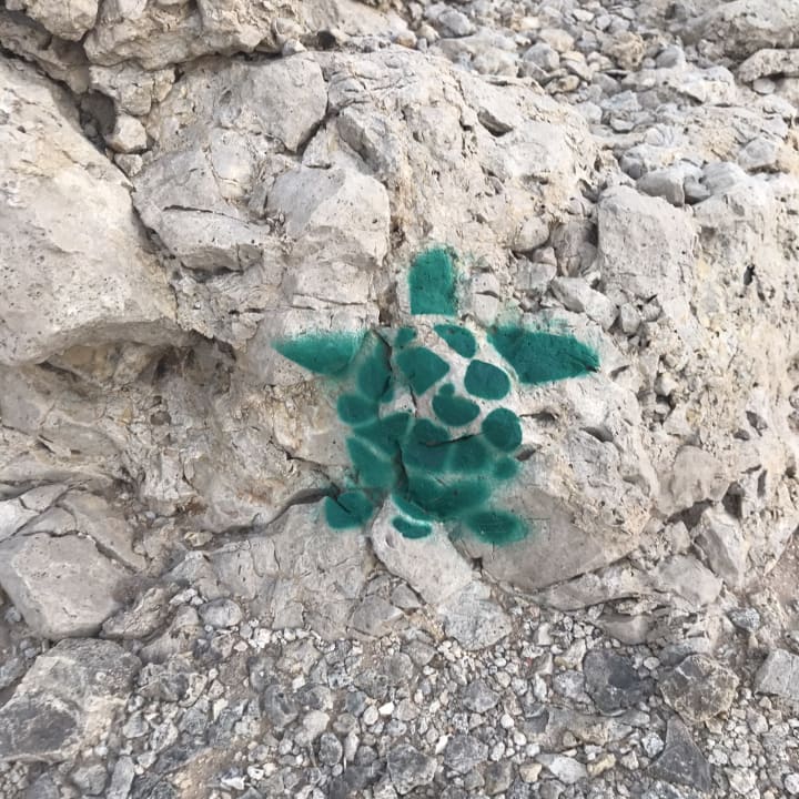 Strand Ras Al Jinz Turtle Reserve