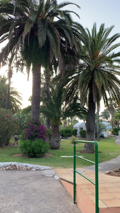 Gartenanlage Apartments Cala Romantica