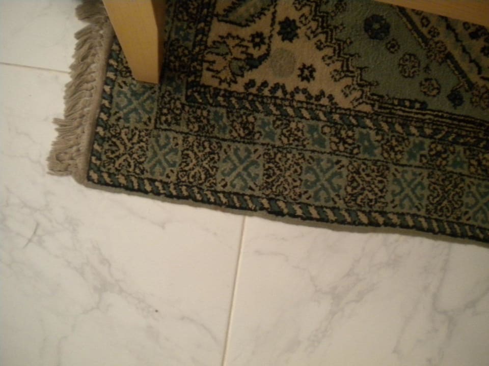 Teppich  Hotel Europalace