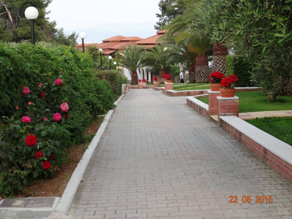 Hotelanlage Blue Dolphin Resort Hotel