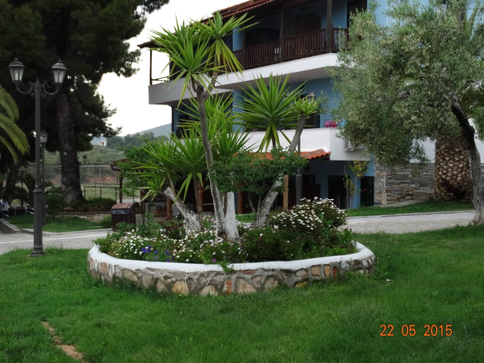 Haus Blue Dolphin Resort Hotel