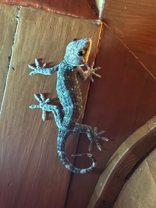 Außenansicht Santhiya Koh Phangan Resort & Spa