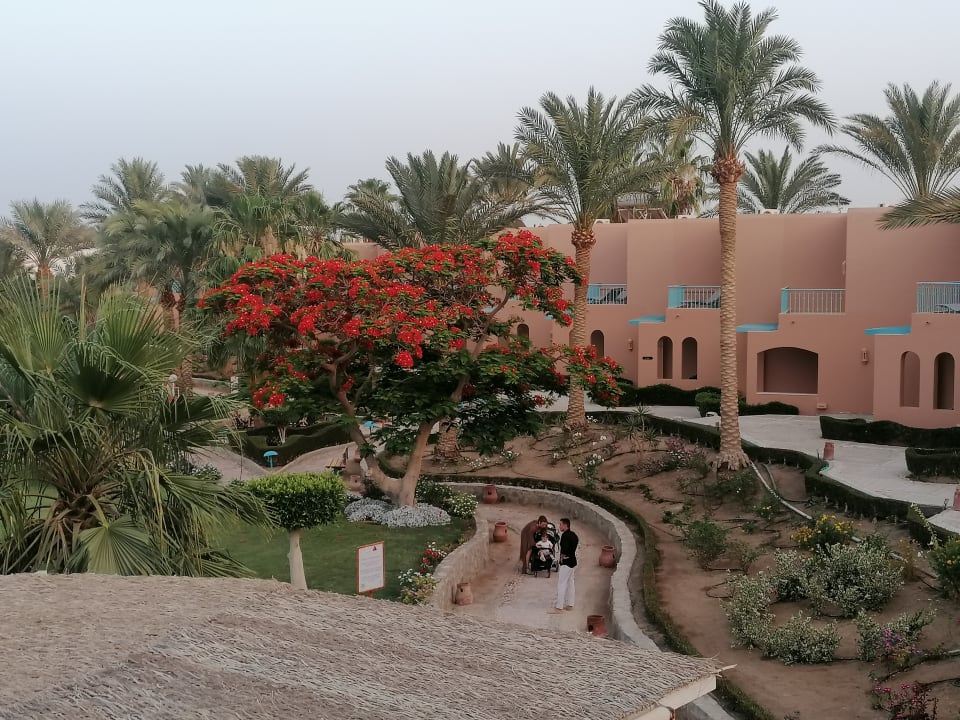 Ausblick Club Paradisio El Gouna, Red Sea