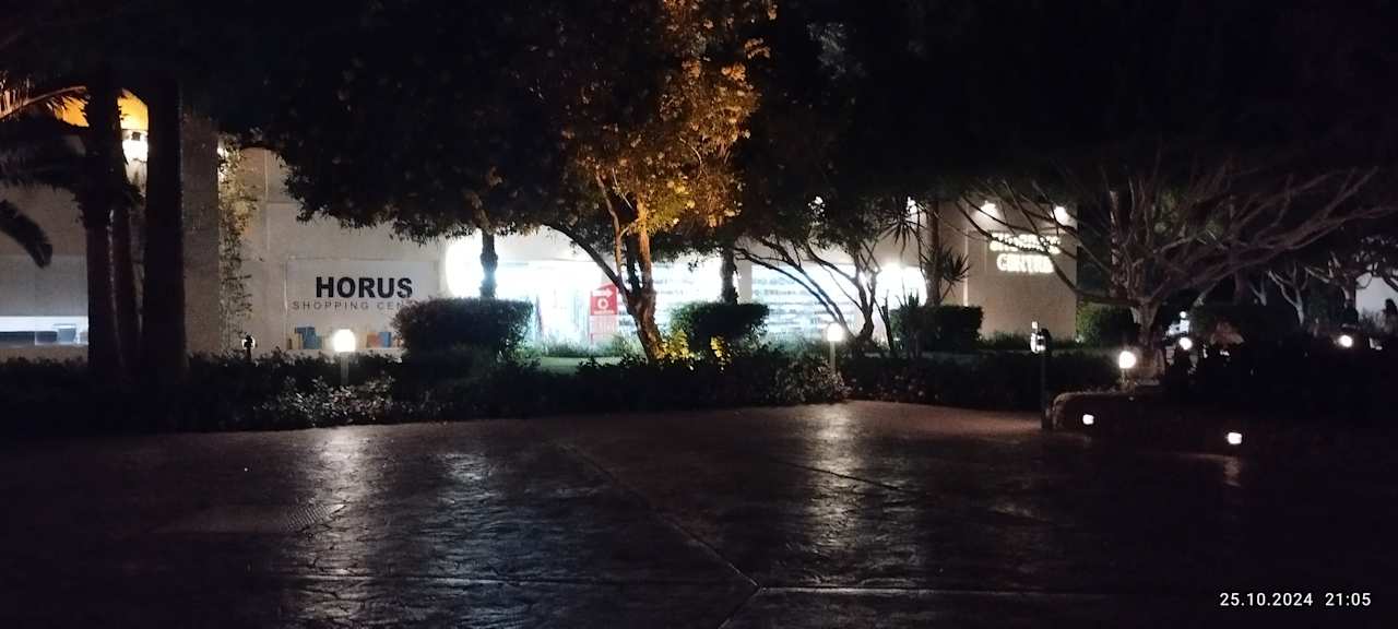 Sonstiges Desert Rose