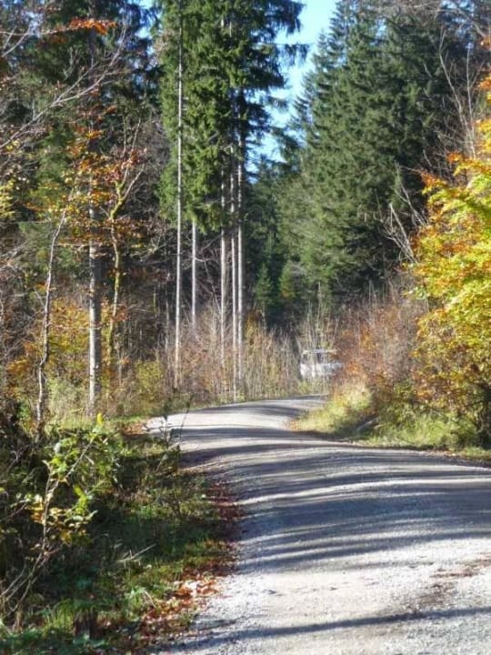 Fußmarsch zum Almagmach 3 Berggasthof Almagmach