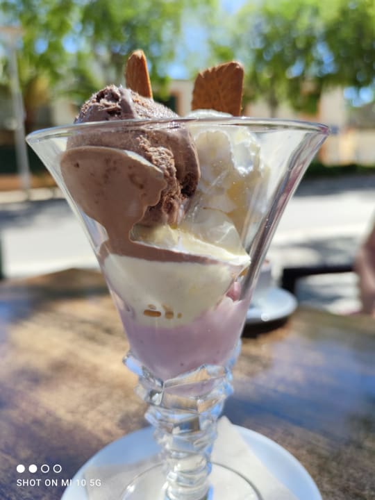 Gastro Alcudia Garden Aparthotel