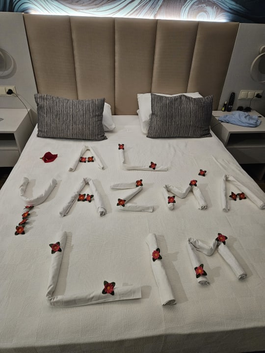 Zimmer Dream Water World