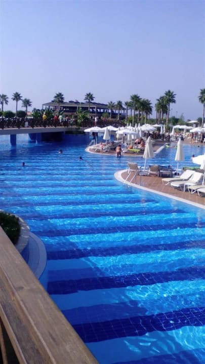 Sauberer Poolbereich TUI MAGIC LIFE Jacaranda