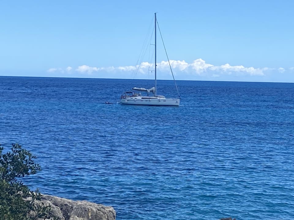 Gartenanlage Iberostar Waves Pinos Park