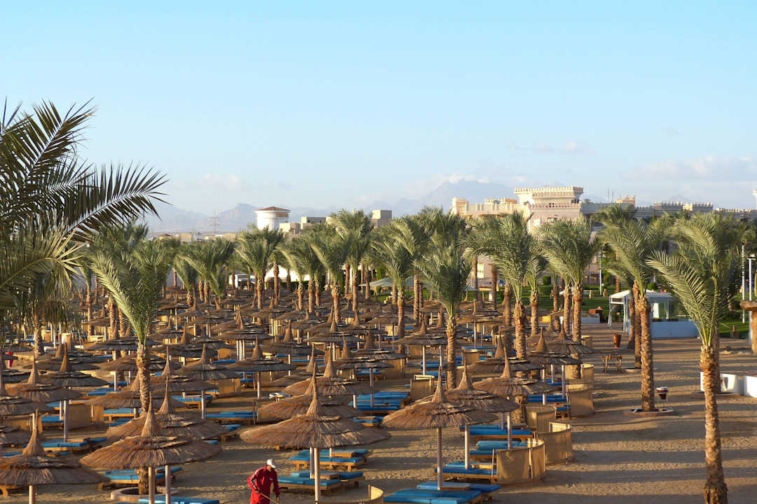 Liegen und Palmen Beach Albatros Resort