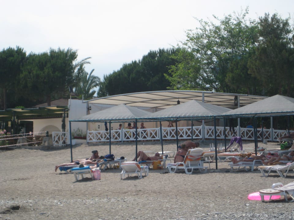 Grosse neue Strandbar Le Jardin Resort
