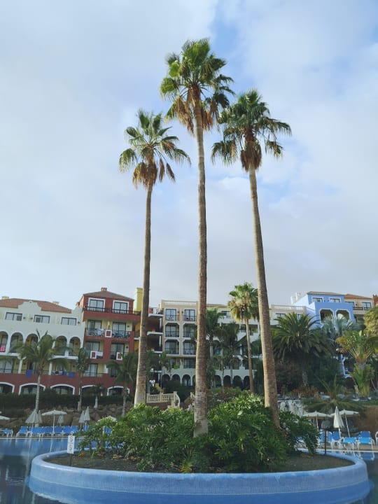 Gartenanlage Bahia Principe Sunlight Costa Adeje