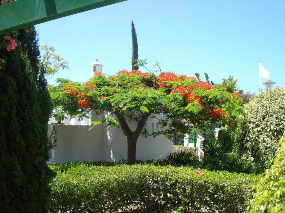 Blick von der Terrasse Bungalows Cordial Sandy Golf
