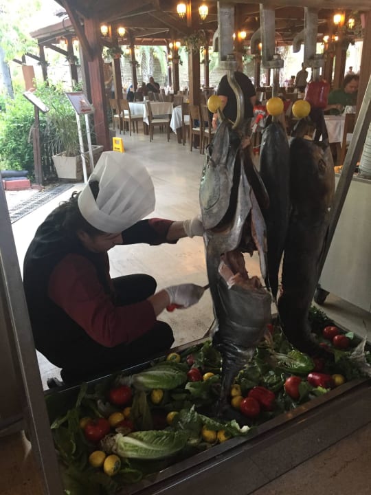 Einfach lecker Monachus Family Resort Sorgun