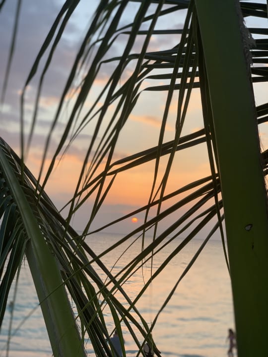 Strand Royal Zanzibar Beach Resort