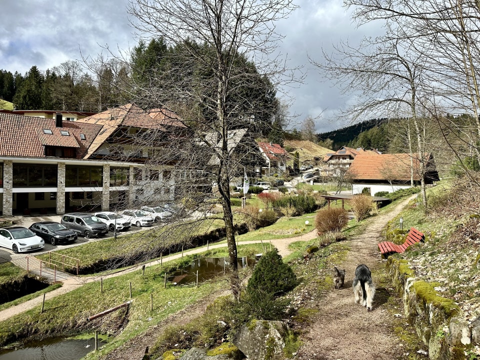 Außenansicht Naturparkhotel Adler