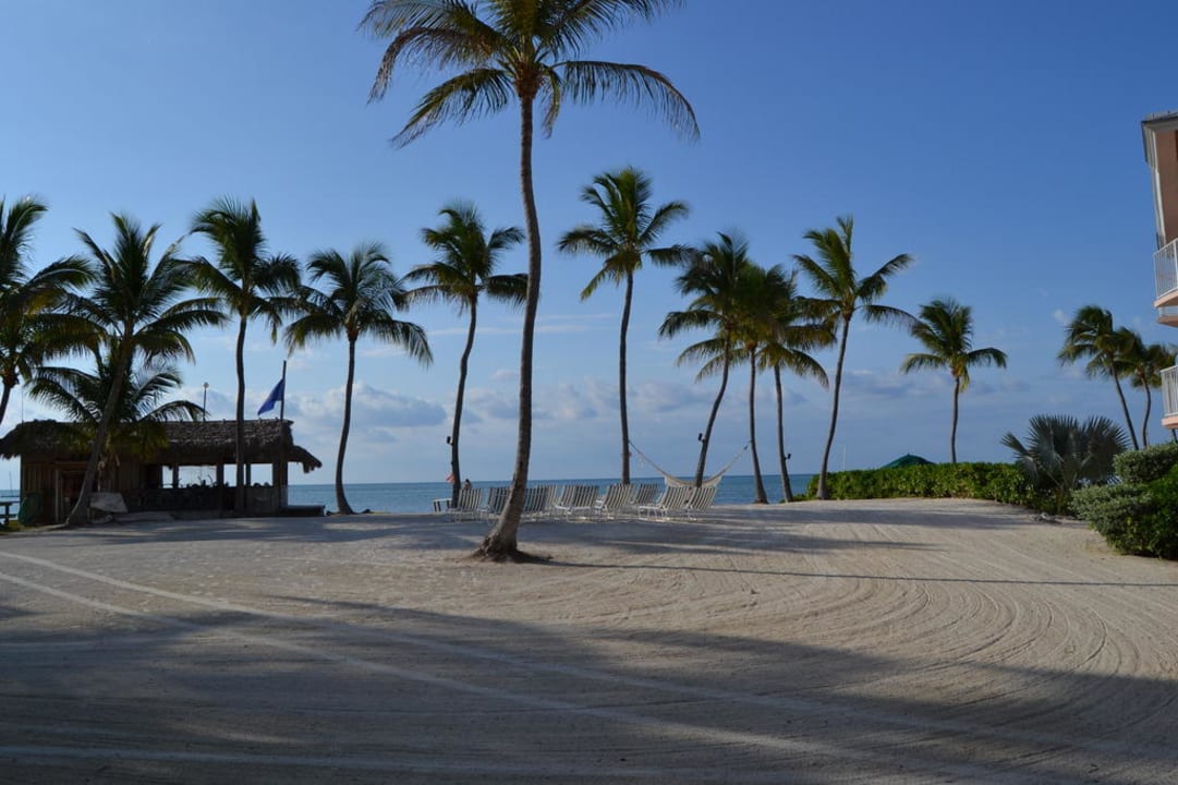 Hotel Hotel Chesapeake Resort