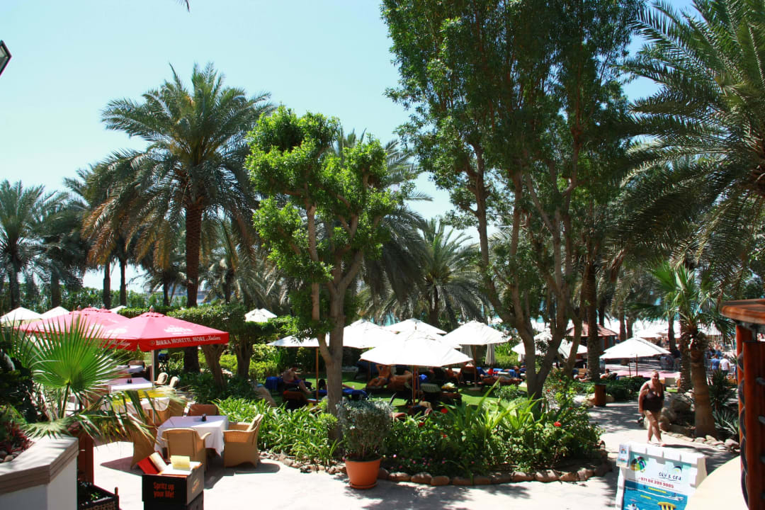 Schöne Gartenanlage Hilton Dubai Jumeirah