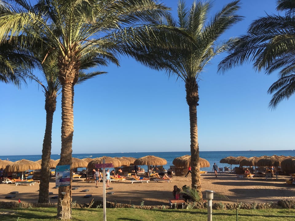 Strand Sentido Caribbean World Soma Bay