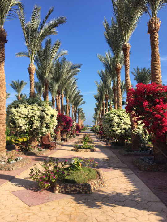 Gartenanlage Riviera Aqua Park Resort