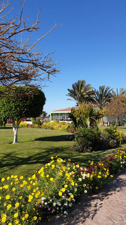 Ausblick Hurghada Long Beach Resort