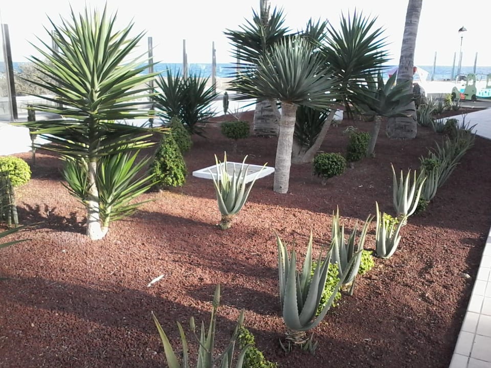 Garten Hotel Las Costas