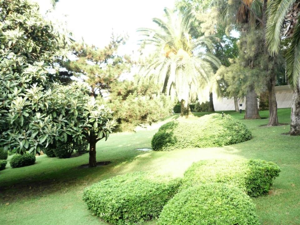 Garten Side Star Elegance