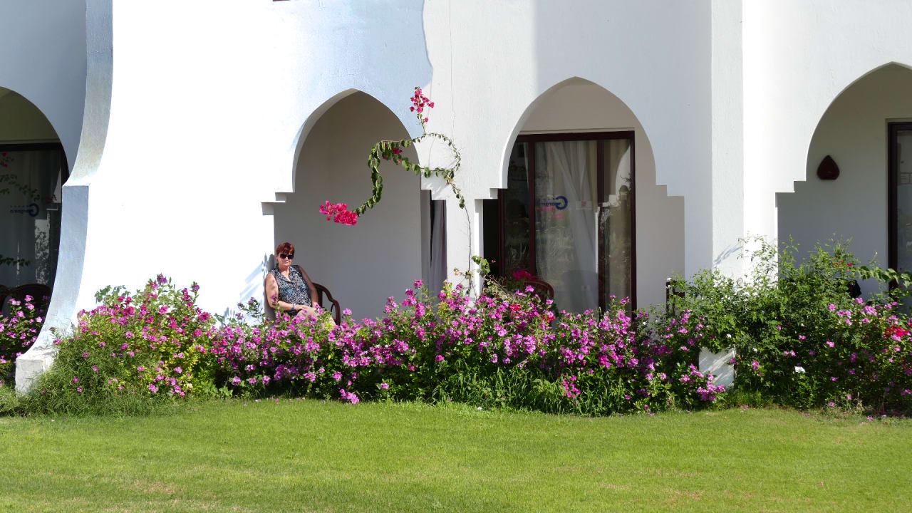 Zimmer Hotel Gorgonia Beach Resort