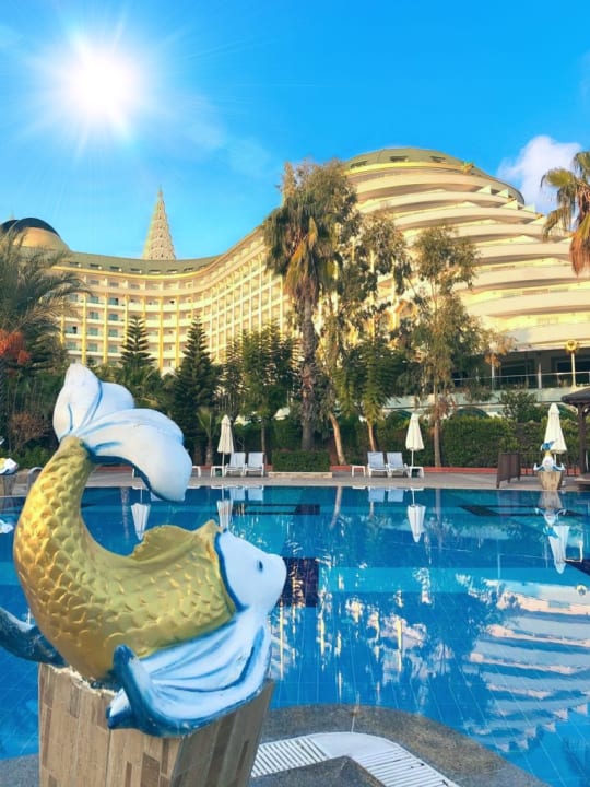 Pool Hotel Delphin Imperial