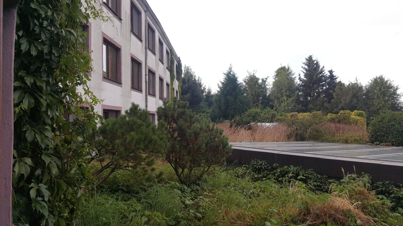 Dachbegrünung Land Gut Höhne