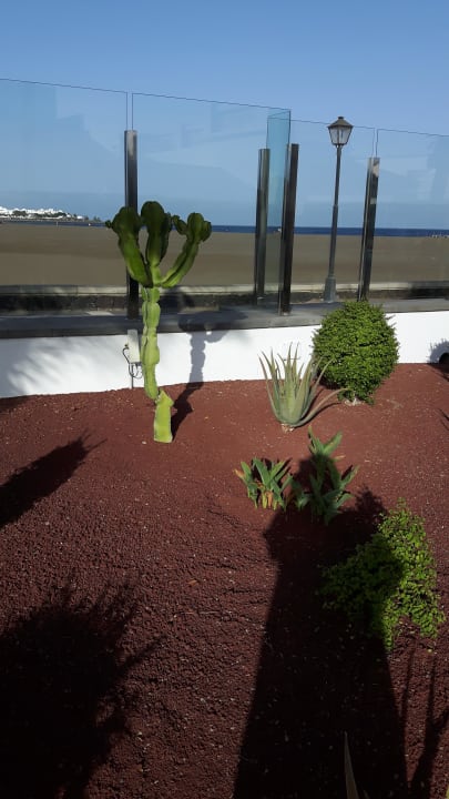 Gartenanlage Hotel Las Costas