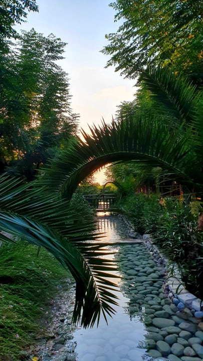 Gartenanlage Can Garden Beach