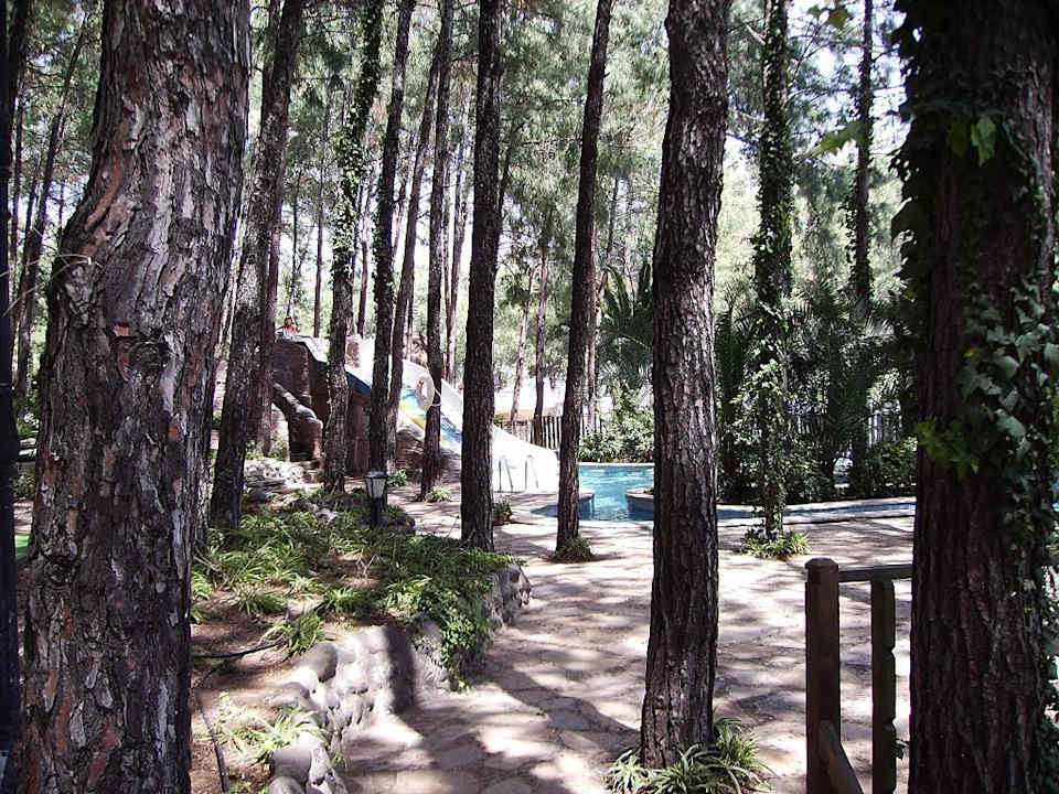 Garten Grand Yazici Club Marmaris Palace