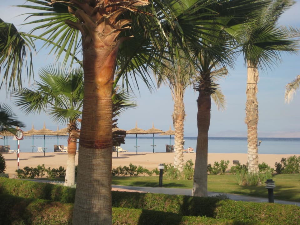 Blick zum Strand TUI MAGIC LIFE Redsina Sharm El Sheikh