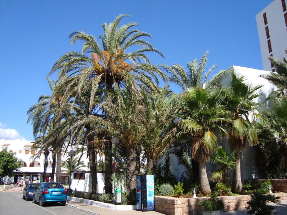 Eingangsbereich Ushuaia Ibiza Beach Hotel - The Tower / The Club - Adults only